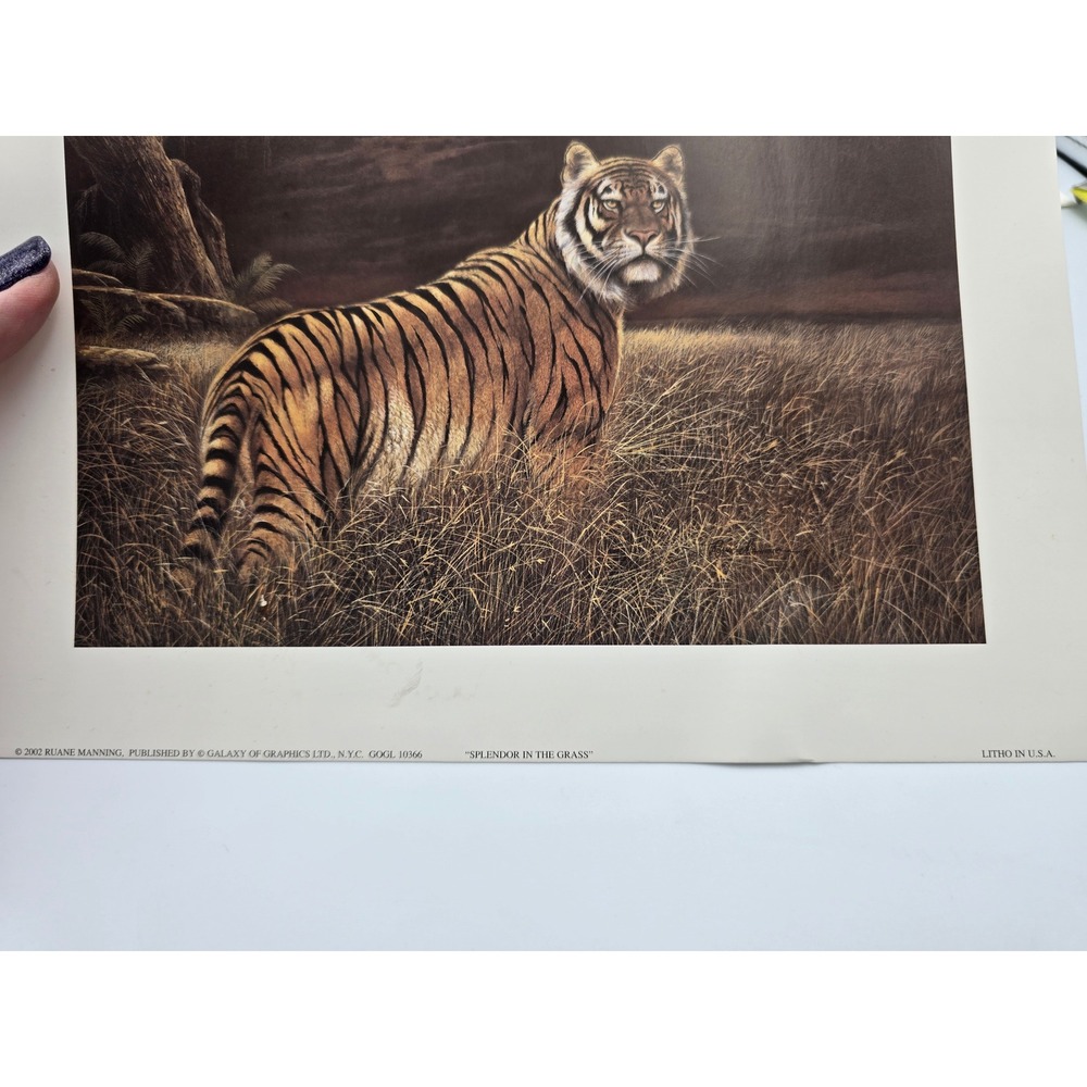 Ruane Manning Wildlife Art Prints Lion Tiger‎ Set Litho USA - Picture 6 of 11